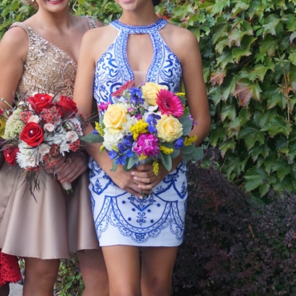 Blue & White Homecoming dress! Worn Once!